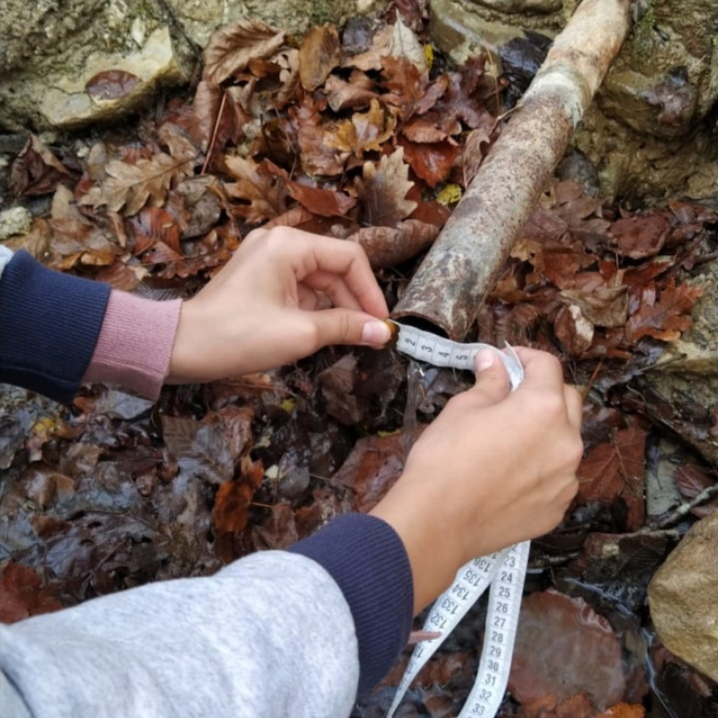 Молодежный клуб РГО