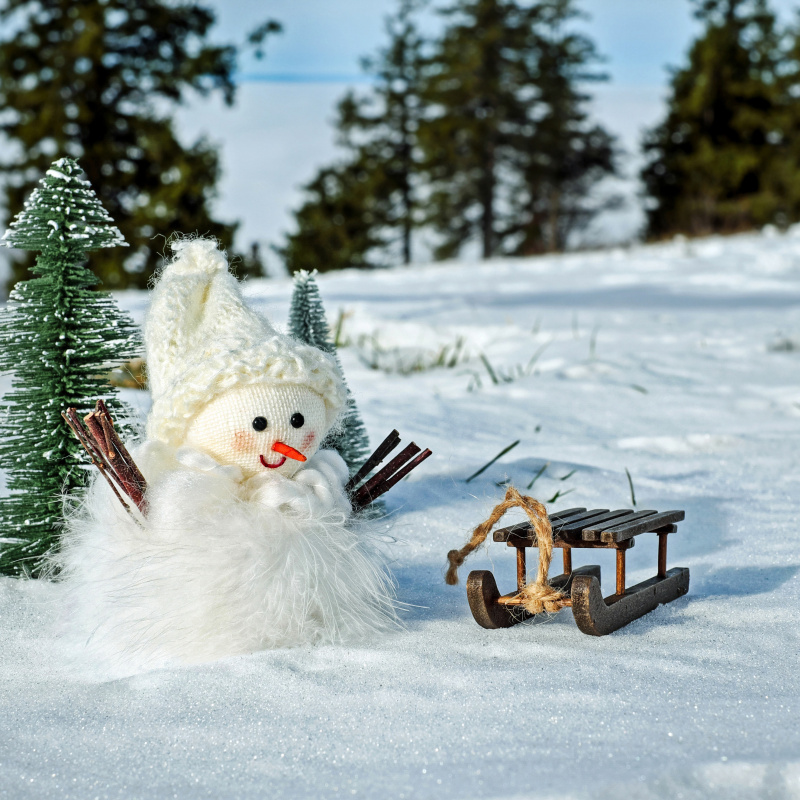 Снеговик Снеговик