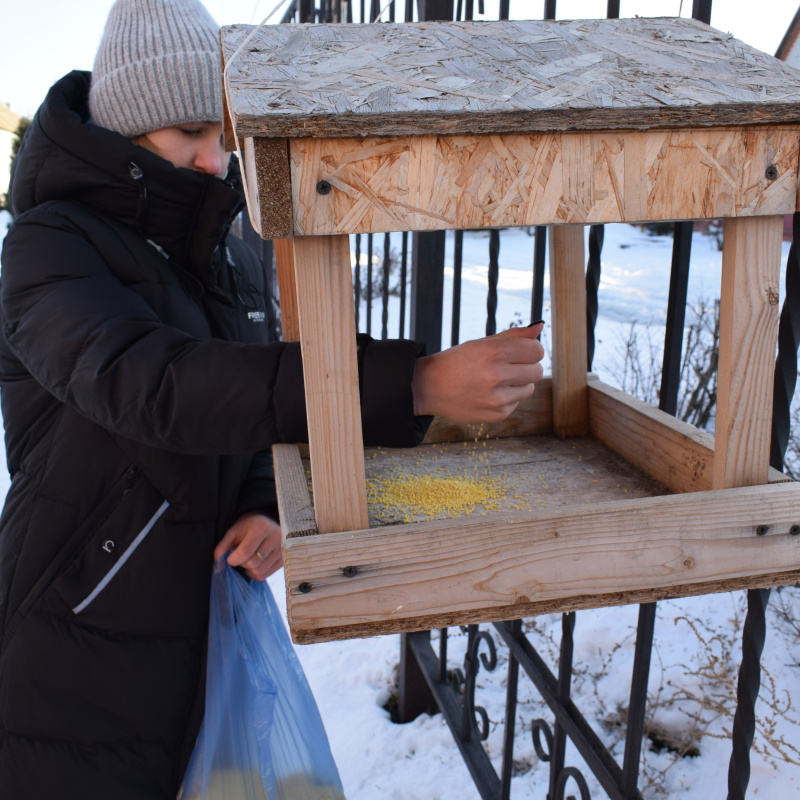 Акция "Покормите птиц зимой"