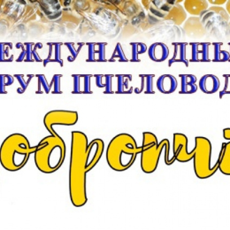 Молодёжный клуб РГО