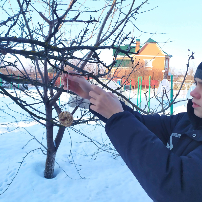 Акция "Покормите птиц зимой"