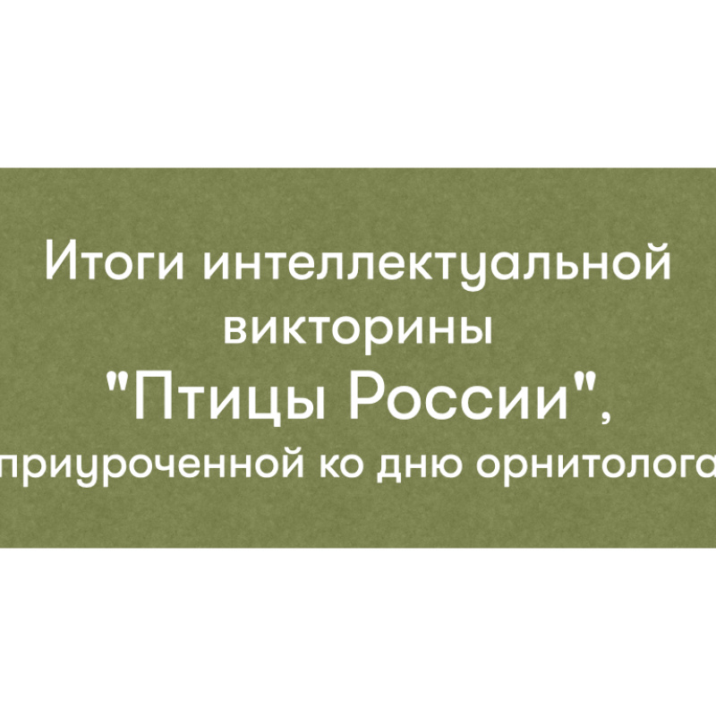 Итоги викторины Итоги викторины