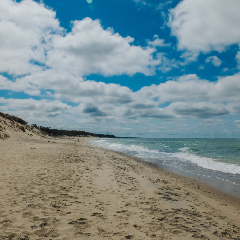 Куршская коса Куршская коса