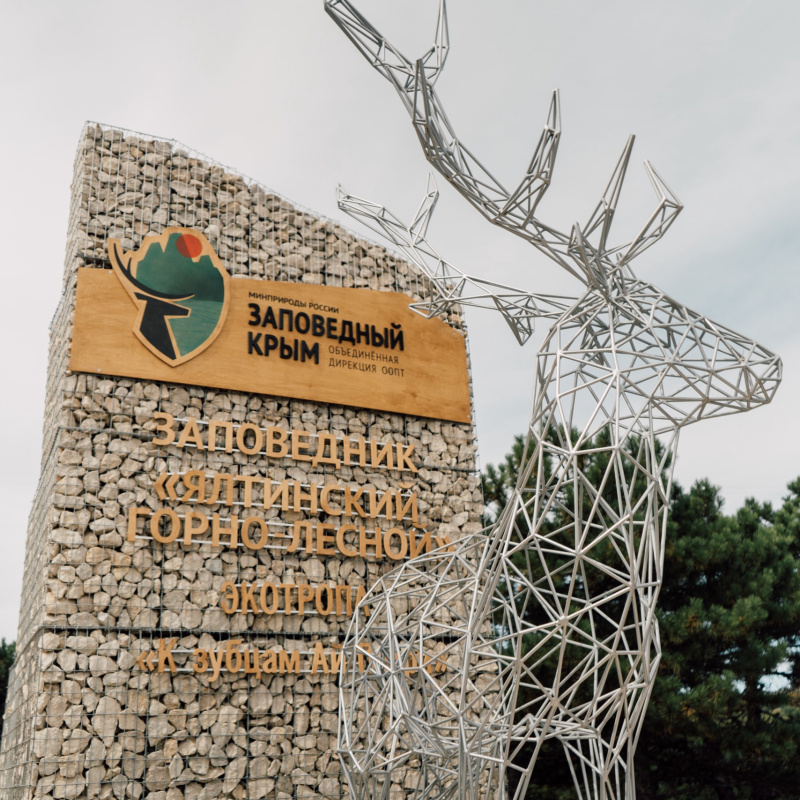 Екатерина Лучина Екатерина Лучина