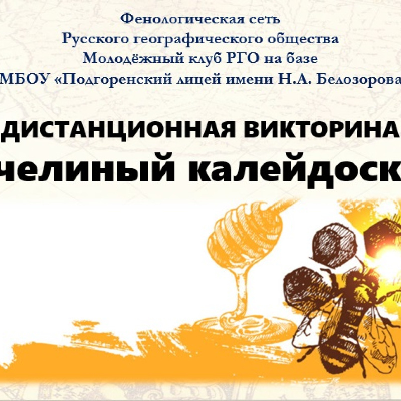 Викторина "Пчелиный калейдоскоп - 2022"