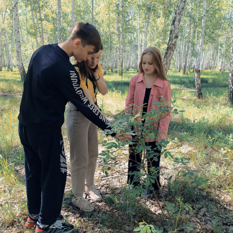 Фенологические наблюдения активистов Молодёжного клуба РГО