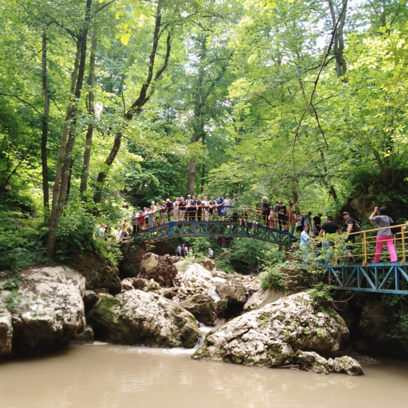 Экскурсия Экскурсия