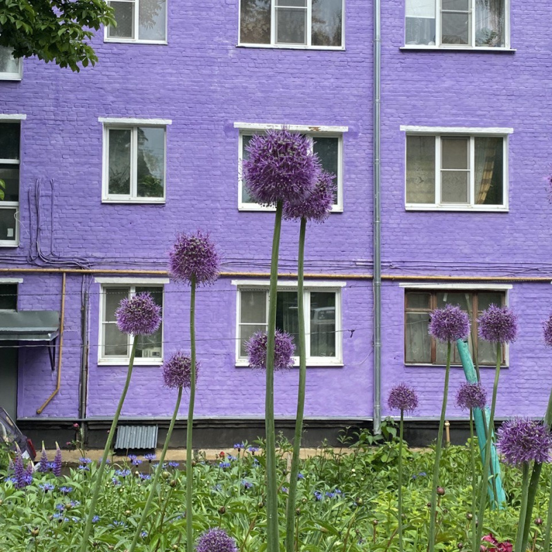 Краски Ефремова. Краски Ефремова.