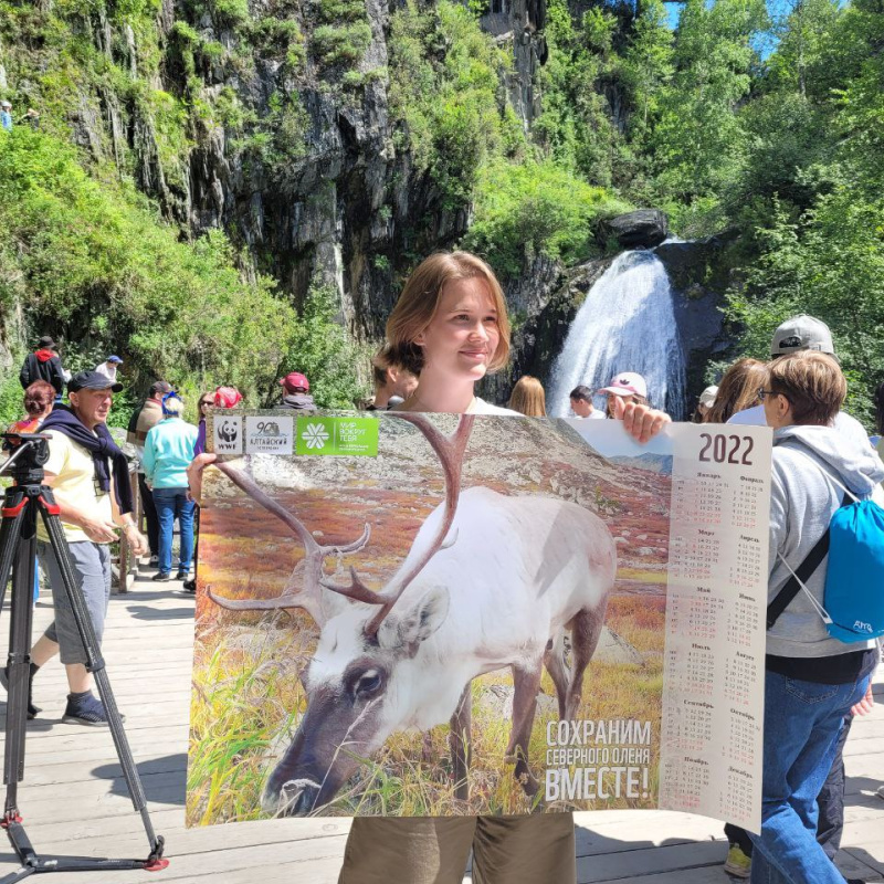 Эковолонтерская школа