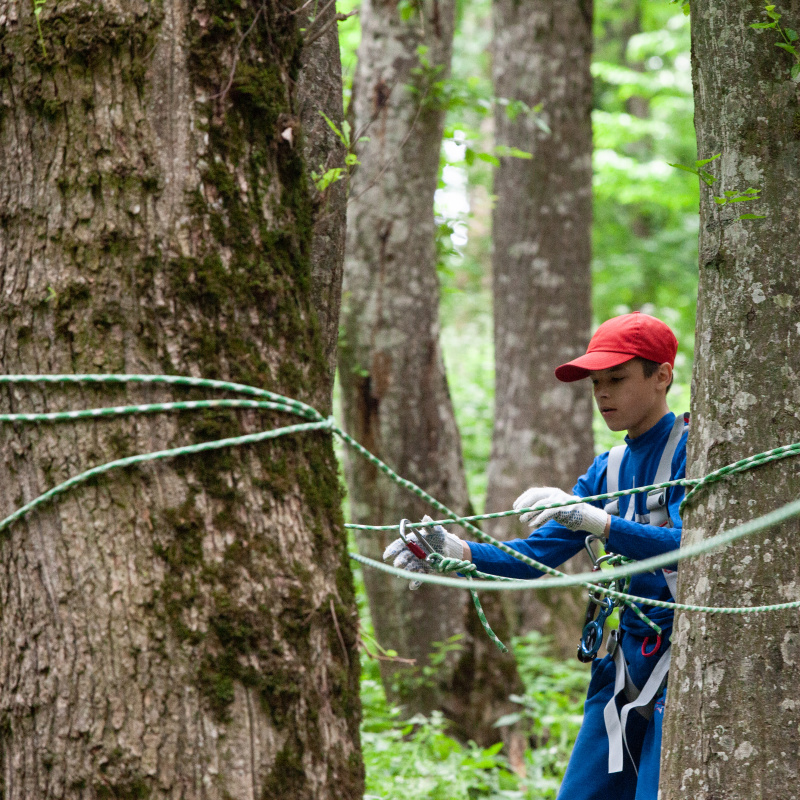 МК РГО МК РГО