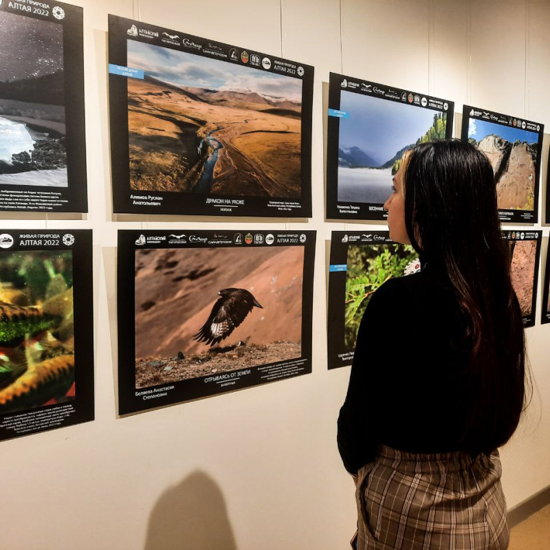 Выставка Выставка