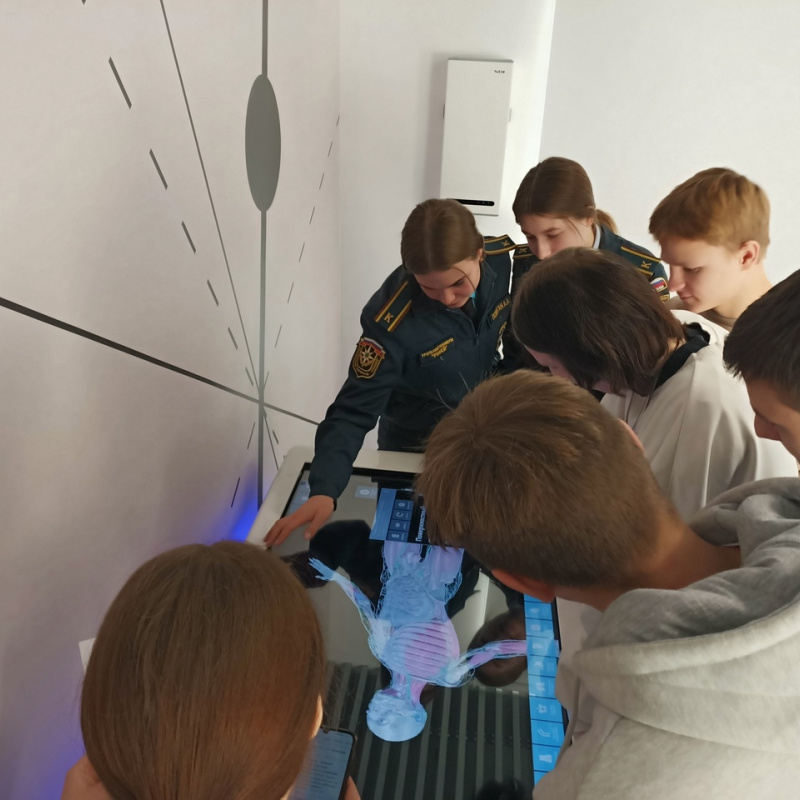 Наш Уралмаш. этап "мультимедийный стол Пирогова"