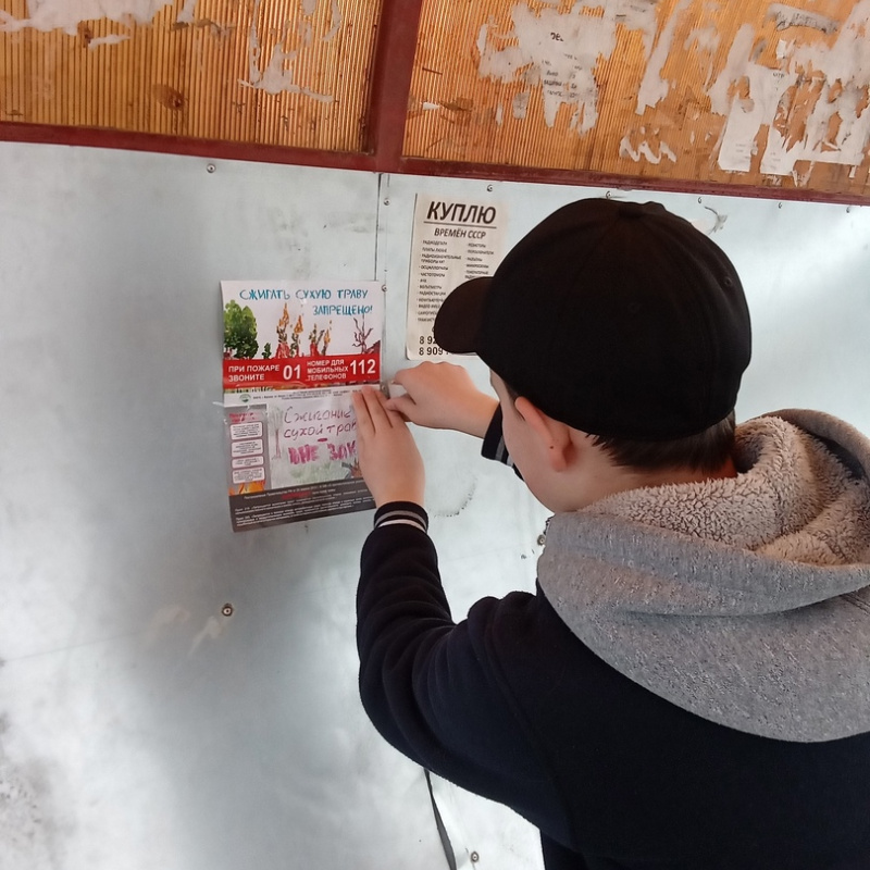 Сохраним природу родного края Сохраним природу родного края