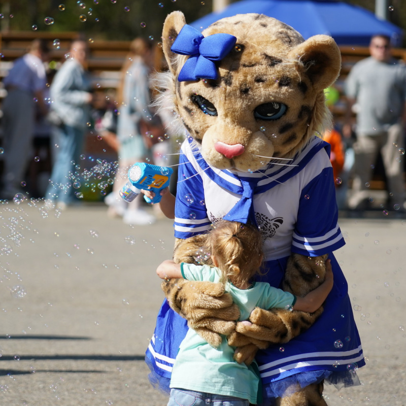 Предоставлено организаторами Предоставлено организаторами