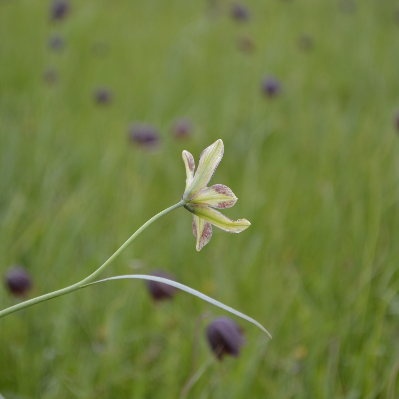 Экспедиция в Воронеже Экспедиция в Воронеже
