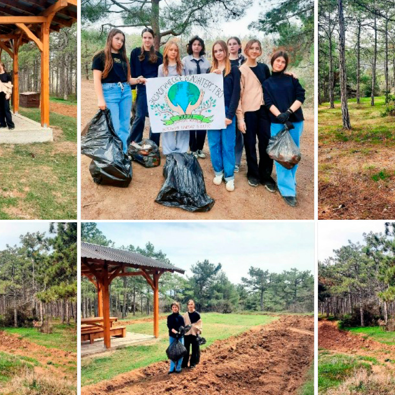 Экологическое волонтерство Волонтерство