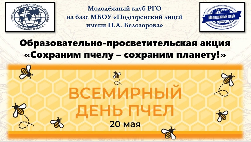 Сценарий досуга в средней группе «День пчел»