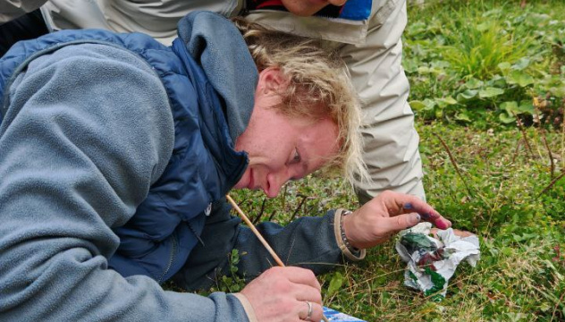 Порыв творчества Порыв творчества
