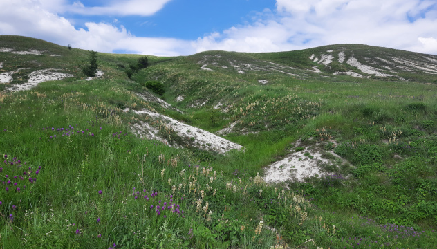 Меловые холмы Новооскольского района Меловые холмы Новооскольского района