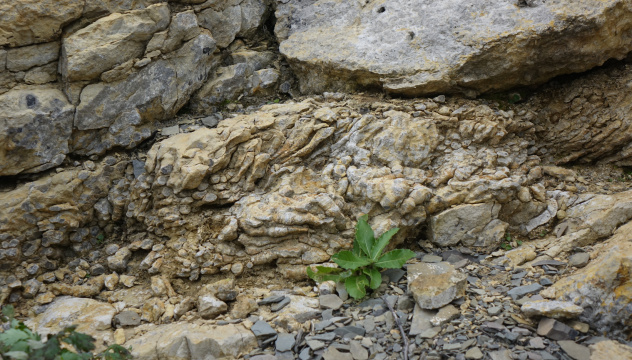Палеориф в Хакасии 