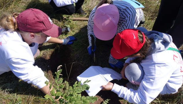 Изучение почв 