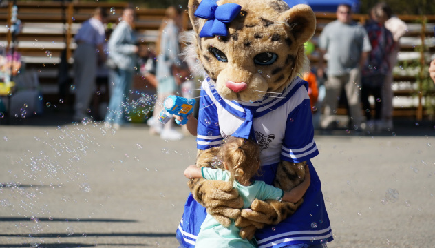 Предоставлено организаторами