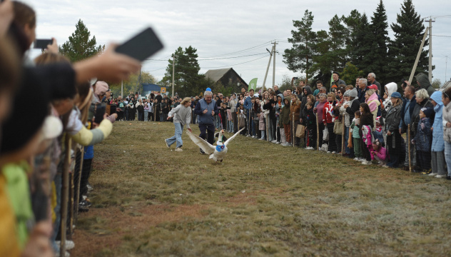 Гусиные бега Гусиные бега