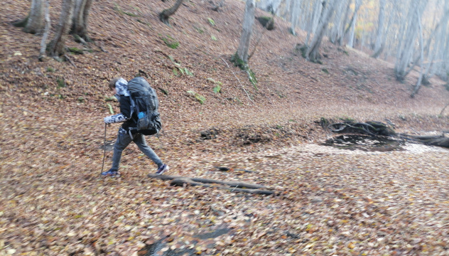 Поход Поход