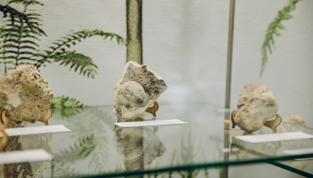 Даже камень может стать музейным экспонатом! Даже камень может стать музейным экспонатом!