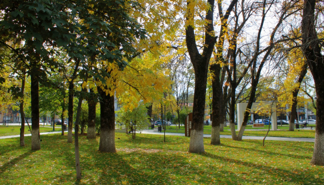 Осенний Майкоп Осенний Майкоп