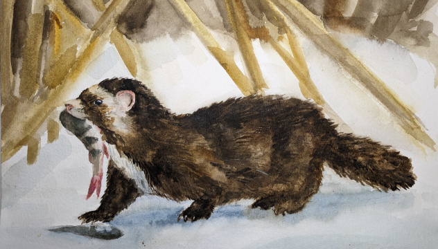 "Удачная охота" "Удачная охота"