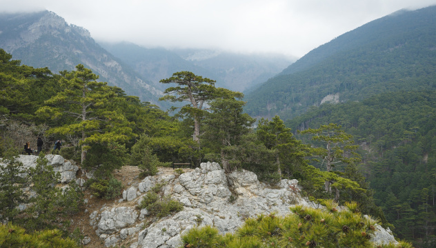 Андрей Чумаченко Андрей Чумаченко