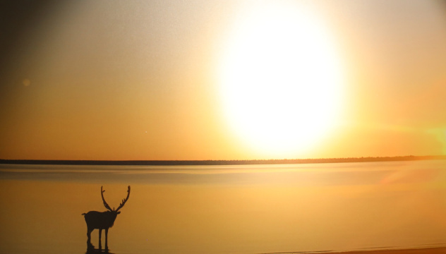 Встреча в лучах заходящего полярного солнца