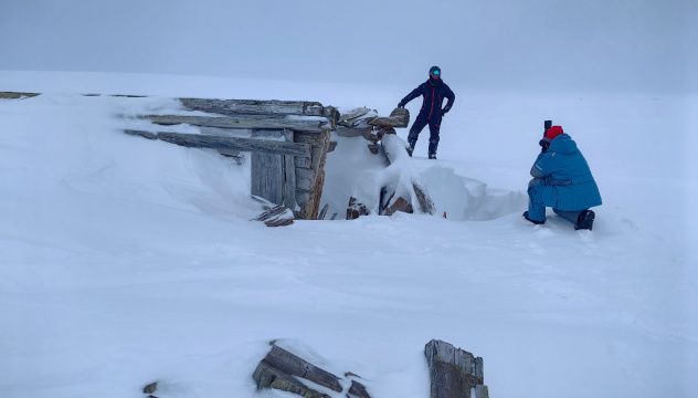 Алина Кочергина