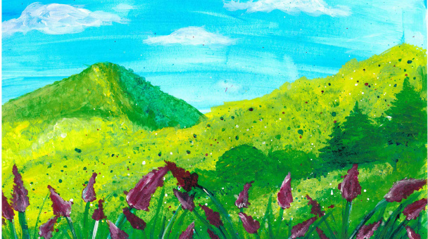 Погода для всех