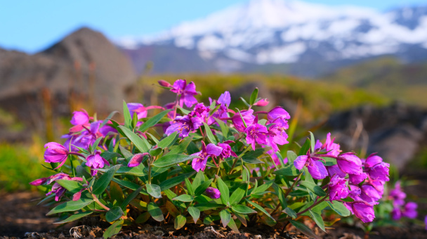 Антон Тананыкин, участник фотоконкурса РГО "Самая красивая страна"