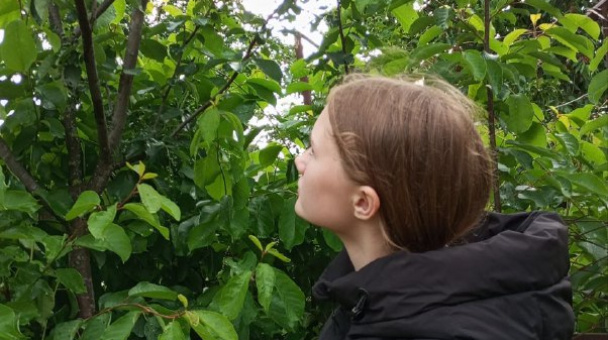 Наблюдения