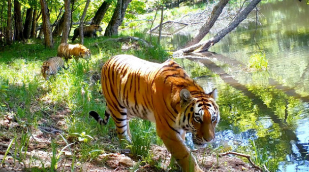 Виктор Сторожук, участник фотоконкурса РГО "Самая красивая страна" Виктор Сторожук, участник фотоконкурса РГО "Самая красивая страна"
