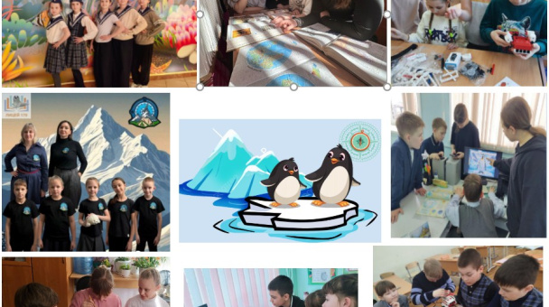 Сетевой проект