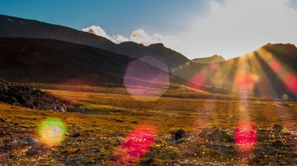 Место проведения исследований