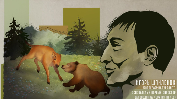 Автор: Александра Лебедева