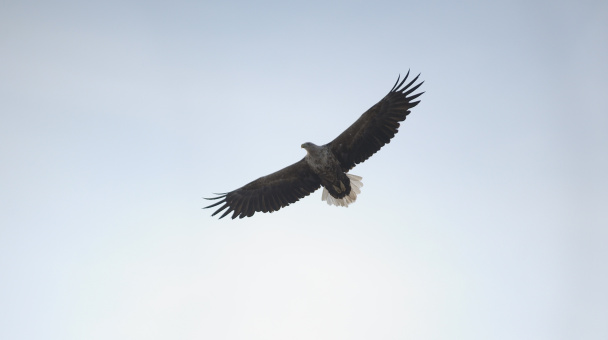 Арсений Арлюков