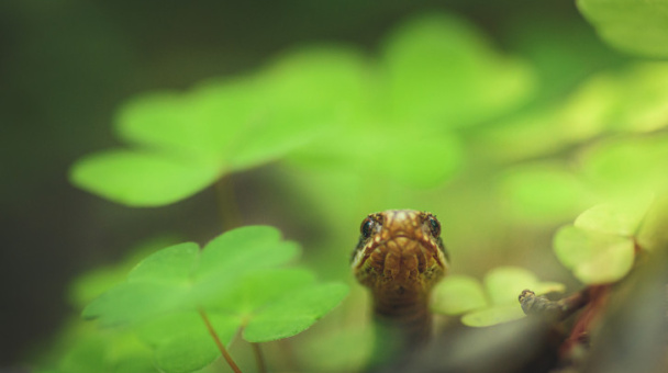 Дмитрий Иванов, участник фотоконкурса РГО "Самая красивая страна"