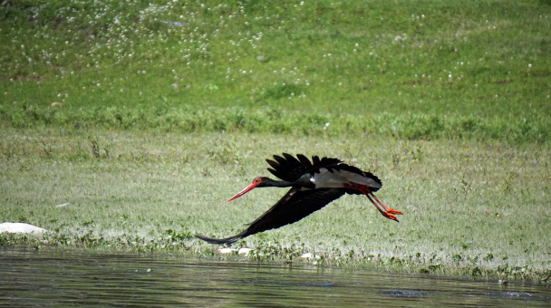 Владимир Надеждин, участник фотоконкурса РГО "Самая красивая страна" Владимир Надеждин, участник фотоконкурса РГО "Самая красивая страна"