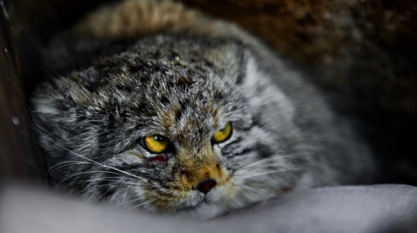 Евгений Мазурин, участник фотоконкурса РГО "Самая красивая страна"