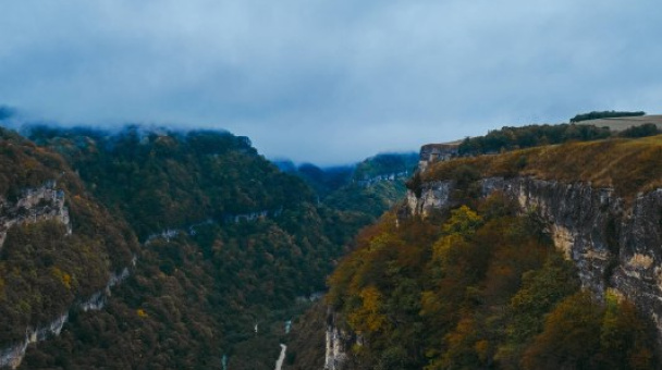 Ислам Шогенов