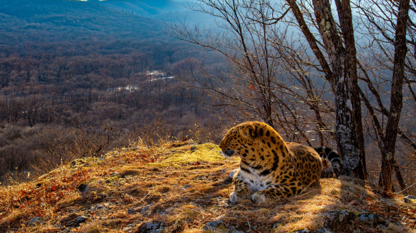 Юрий Смитюк 