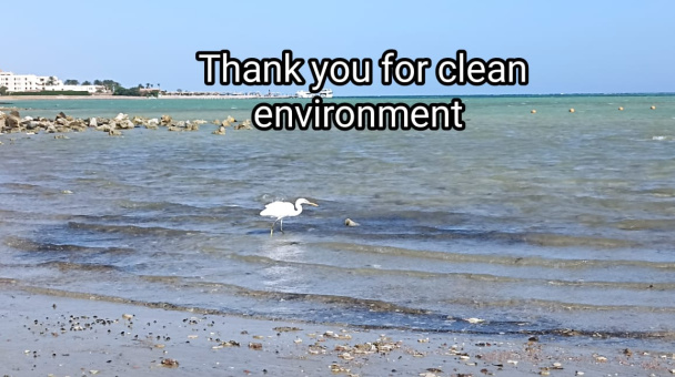 После уборки После уборки