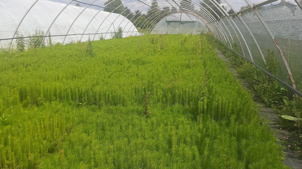 Неурок географии