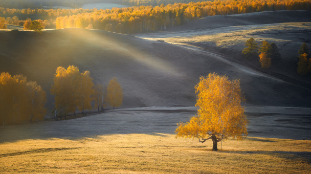 Осенний луч